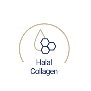 https://nooria-swiss.ch/wp-content/uploads/2025/02/rd-04-1-e1740549943668.png