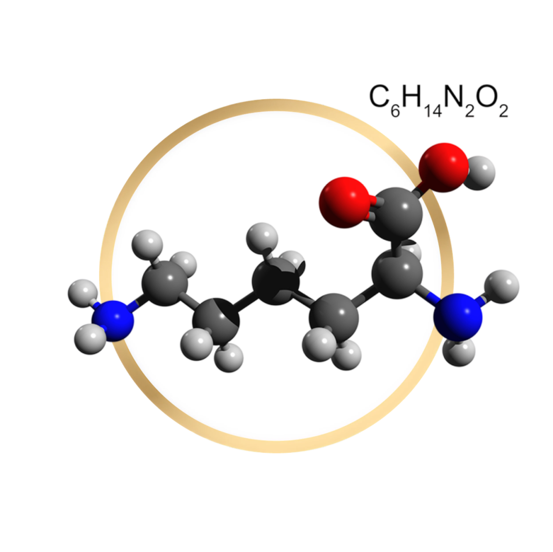 L-lysine HCL